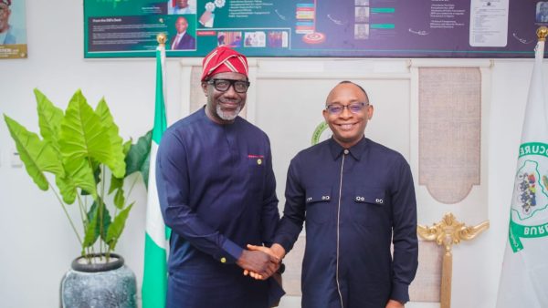 NAICOM CEO and BPP Director